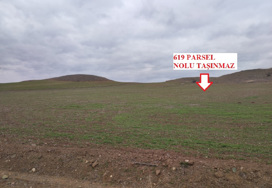 Çorum Bayat Kuruçay Köyü Kürtkırı Mevkiinde 16.950 m² Satılık Tarla 